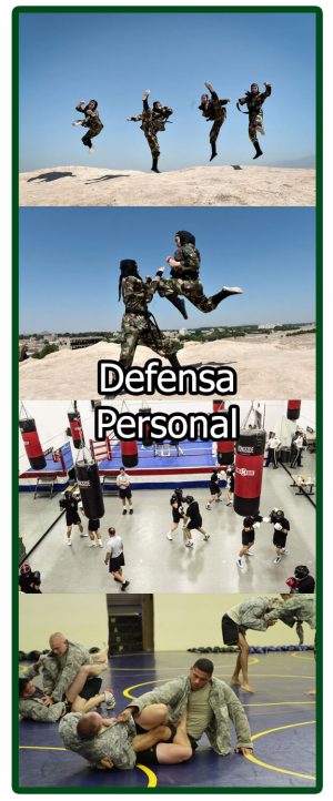 Defensa Personal