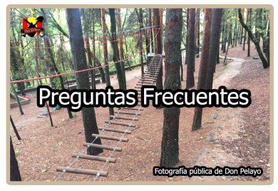 Preguntas Frecuentes