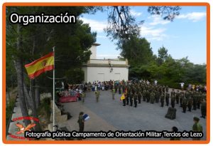 Organización
